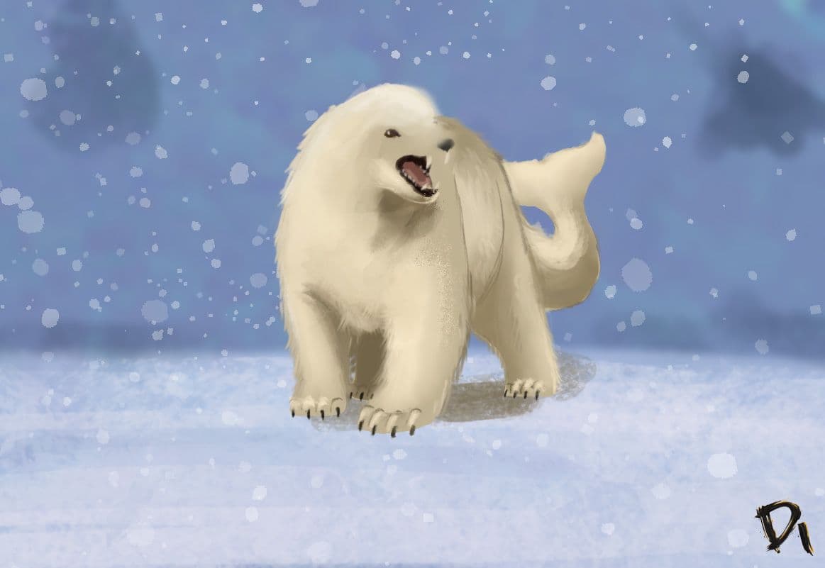 Orso beluga